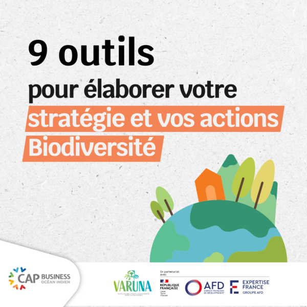 Le projet « Business for Biodiversity » : les ressources pour agir !